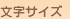 文字サイズ